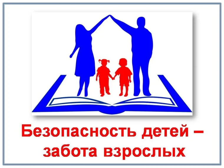 Общешкольное родительское собрание «Безопасность детей - главная задача взрослых».